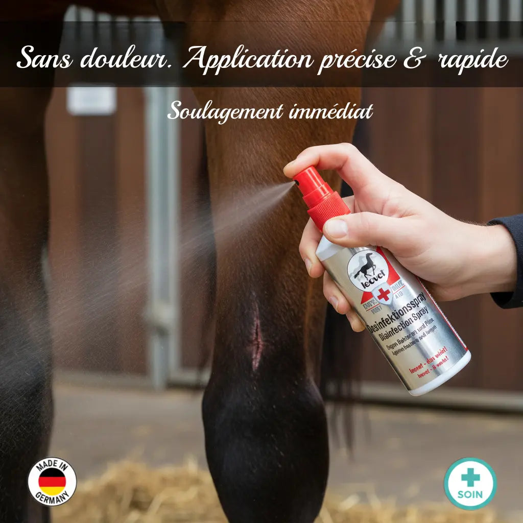 Application du spray Leovet sur la peau d'un cheval, soin doux et précis.