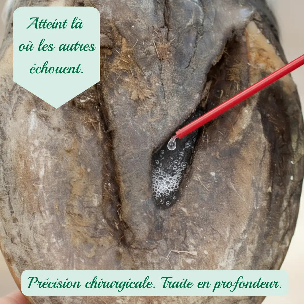 Spray Frog Medic Leovet : application précise dans les lacunes de la fourchette.