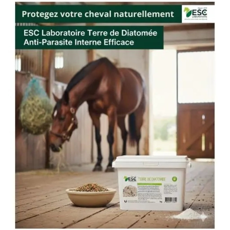 Texture poudre terre de diatomée qualité alimentaire cheval