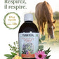 Sirop toux cheval Tuss'eol pour un soulagement respiratoire rapide et naturel au pré.