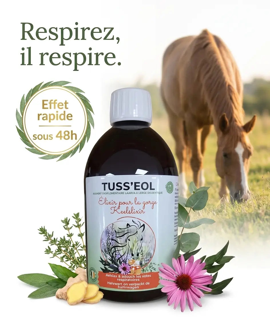 Sirop toux cheval Tuss'eol pour un soulagement respiratoire rapide et naturel au pré.