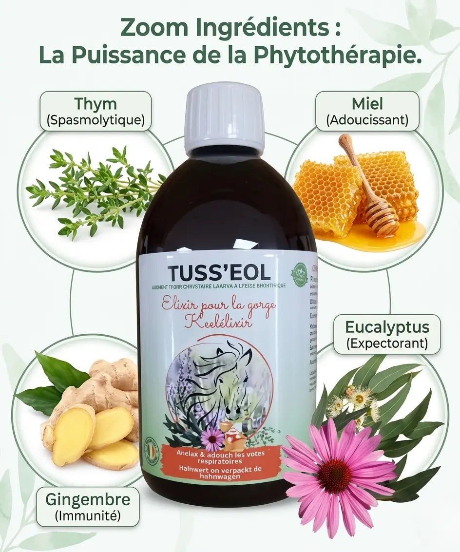 Ingrédients naturels du sirop Tuss'eol : thym, eucalyptus et miel pour la toux du cheval.