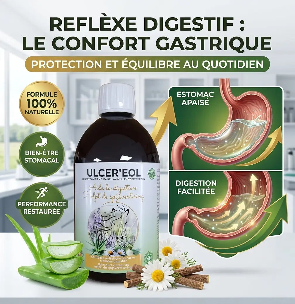 Flacon d'ulcer'eol explication sur la digestion et la protection de l'esomac