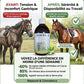 Avant apres Ulcereol cheval detendu sans stress ni acidite gastrique.
