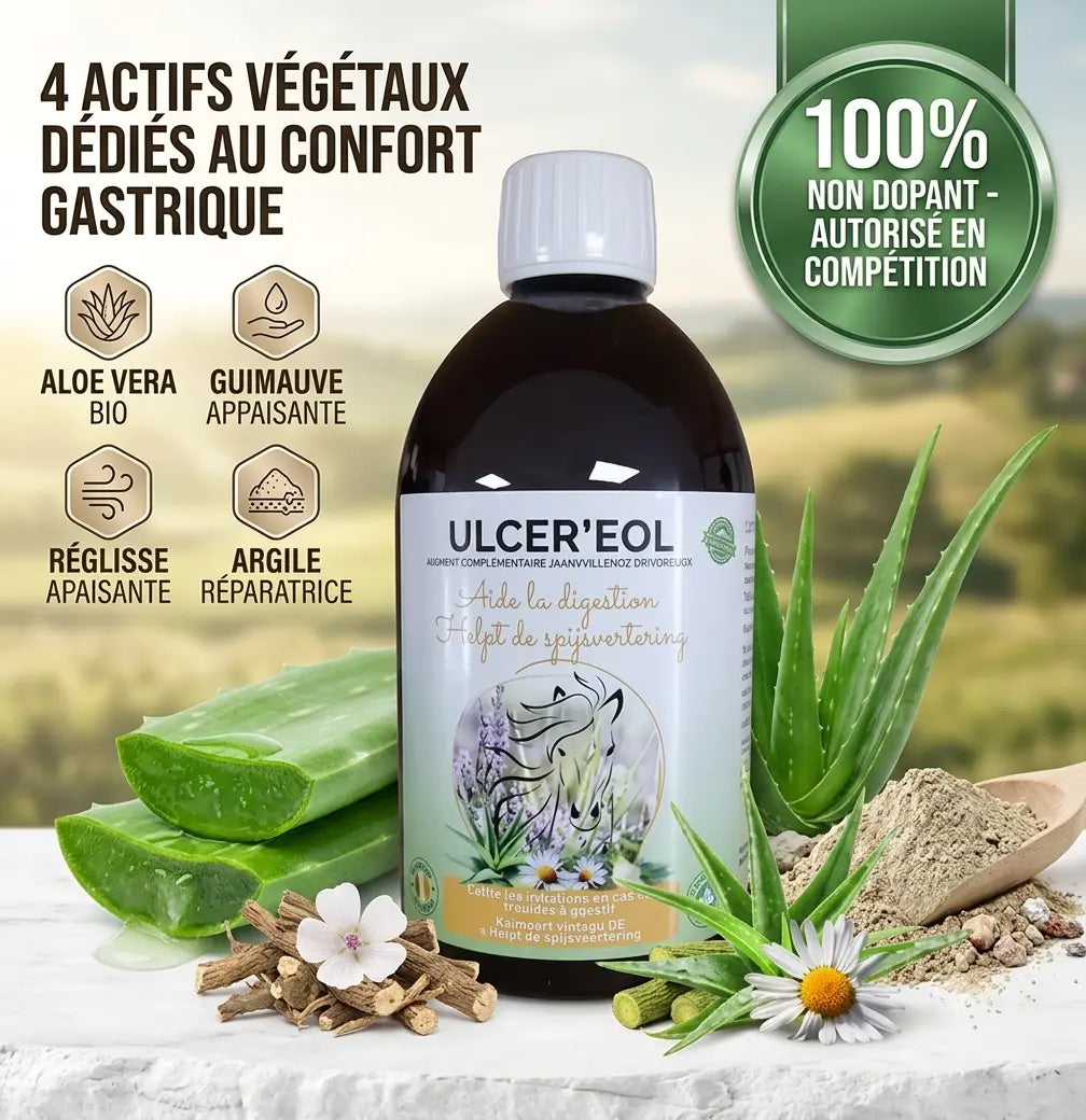 Composants naturels Ulcereol aloe vera et plantes pour confort digestif cheval. (
