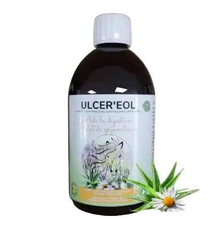 Flacon de 500ml de Ulcer'eol 