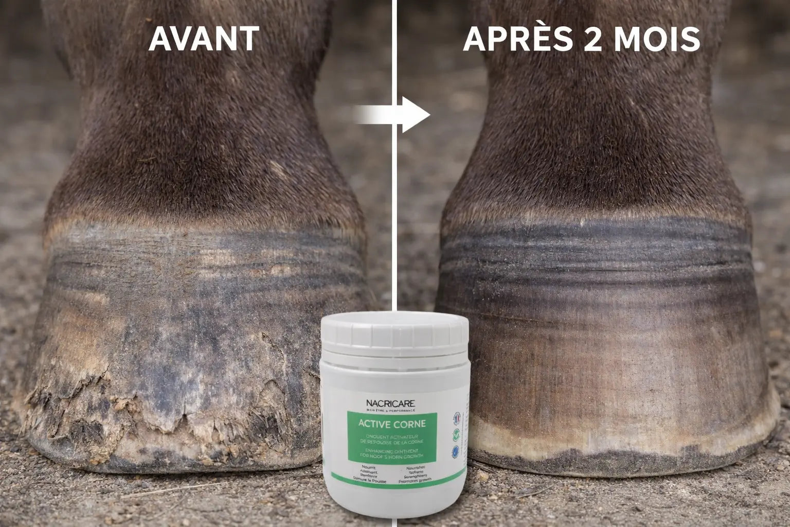 graisse-cheval-stimulation-pousse-corne-active-corne