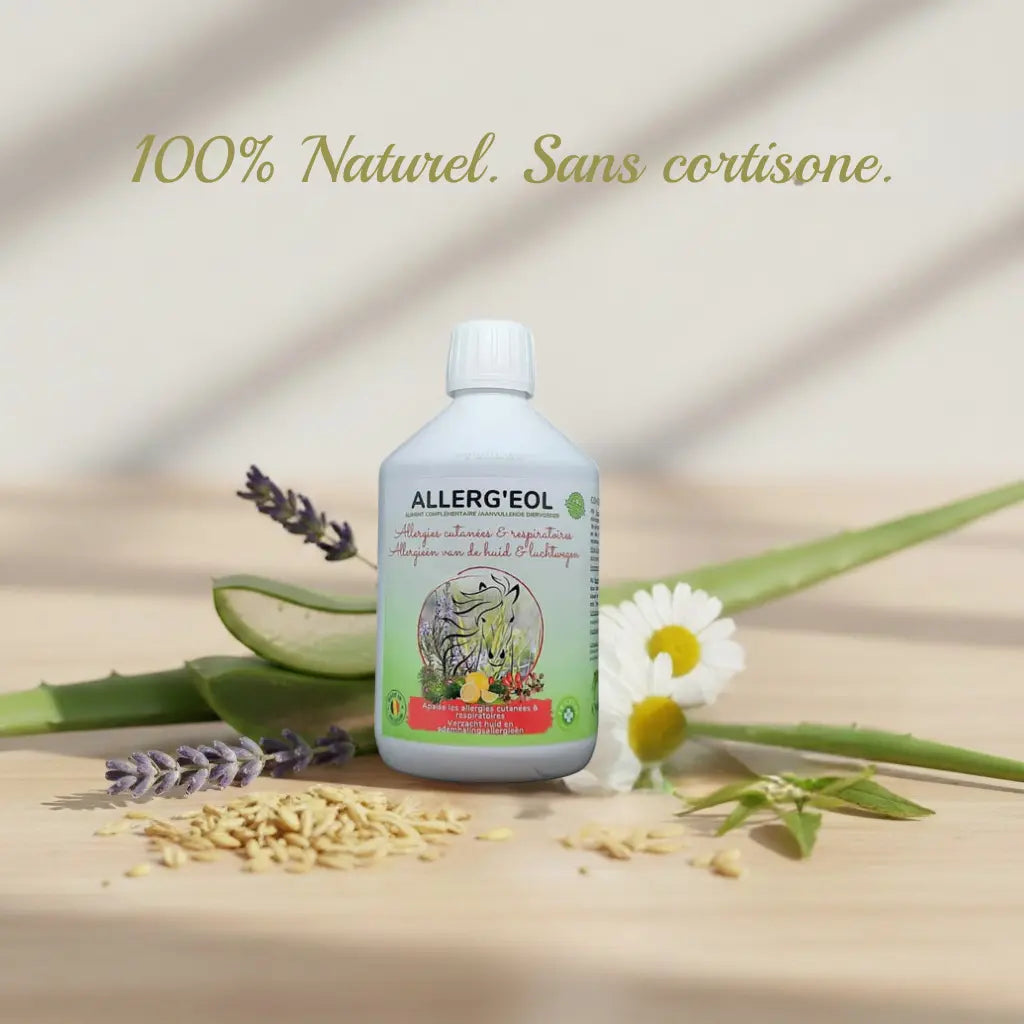 Ingrédients naturels Allergéol pour soigner la dermite estivale du cheval efficacement.