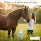 Application facile du soin Allergéol sur un cheval serein au pâturage.