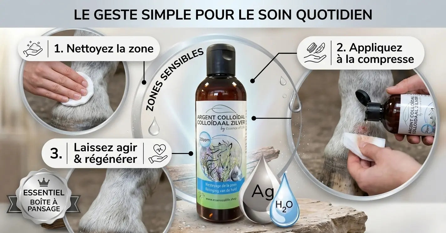 Mode d'emploi argent colloïdal application simple compresse soin peau cheval