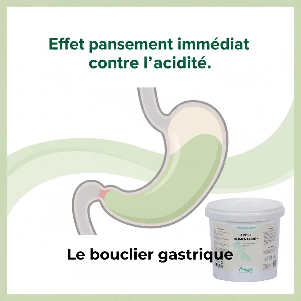 Schéma de l'effet pansement de l'argile Nutragile sur l'estomac du cheval.