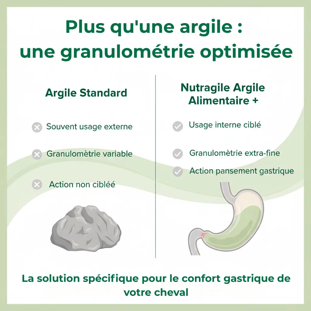 Tableau comparatif argile alimentaire vs argile standard pour cheval.