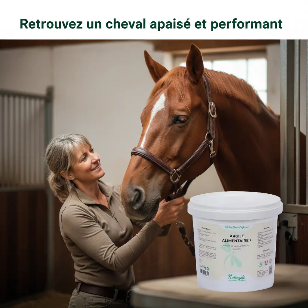 Cavalier et son cheval serein après un traitement gastrique Nutragile.