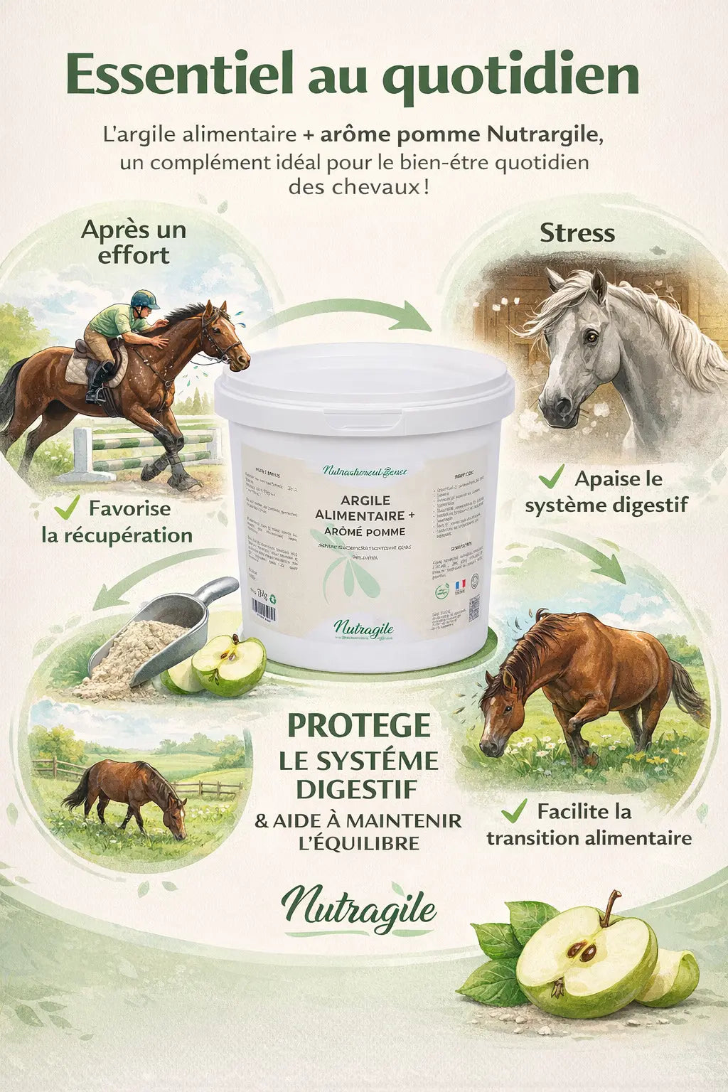 3 utilisations de l'argile alimentaire cheval : détox, transit, effort.