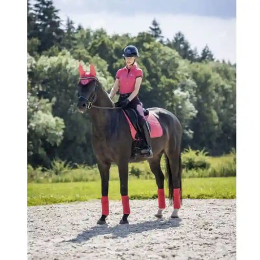 Cheval portant des bandes de polo LeMieux Classic coloris papaye