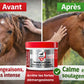 Avant/après Baume SOS Leovet : cheval qui se gratte vs cheval apaisé avec crinière saine.