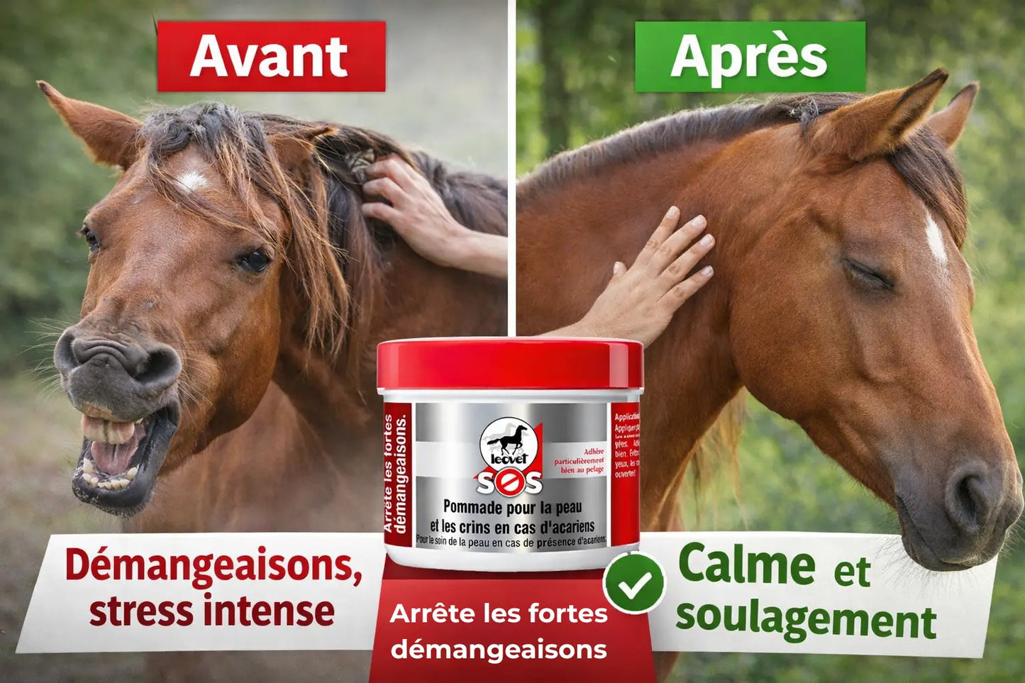 Avant/après Baume SOS Leovet : cheval qui se gratte vs cheval apaisé avec crinière saine.