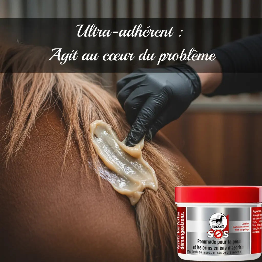 Zoom sur l'application du baume Leovet : texture riche qui adhère à la peau et aux crins du cheval.