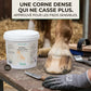 Sabot de cheval sain et solide après une cure de biotine Nutragile.
