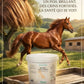 Cheval au poil brillant et crins longs grâce à la biotine Nutragile.