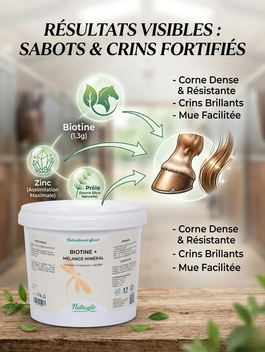 Biotine cheval Nutragile enrichie en Zinc et Prêle pour sabots forts.