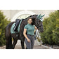 ensemble Tapis et bonnet lemieux carbon mesh coloris sage