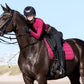 Présentation du tapis Lemieux carbon mesh  mlberry sur un cheval a la robe foncée