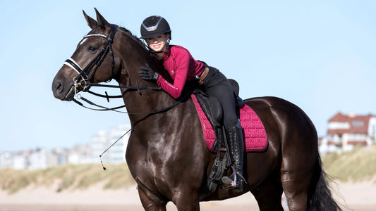 Présentation du tapis Lemieux carbon mesh  mlberry sur un cheval a la robe foncée