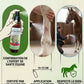 Soigneur appliquant le spray CICA'SOS sur un cheval calme dans une écurie. Soin dermatologique doux pour chevaux.