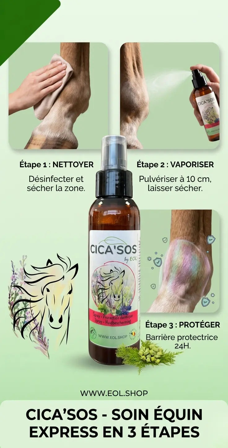 Tutoriel en 3 étapes : Appliquer CICA'SOS sur une zone propre, à 10cm, puis laisser sécher. Soin simple pour cheval.