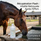 Electrolytes liquides Nutragile pour récupération rapide du cheval après sport.