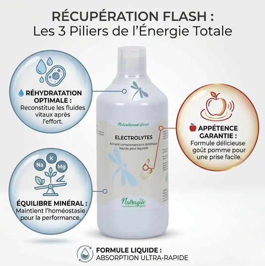 Infographie bienfaits electrolytes Nutragile : hydratation et minéraux cheval.