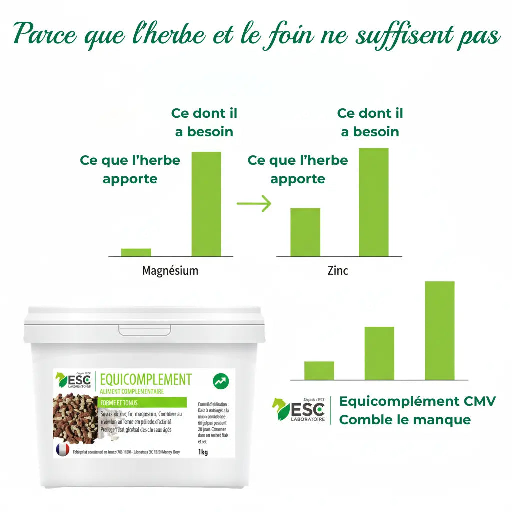 Graphique montrant comment le CMV comble les carences en magnésium et zinc du cheval au pré.