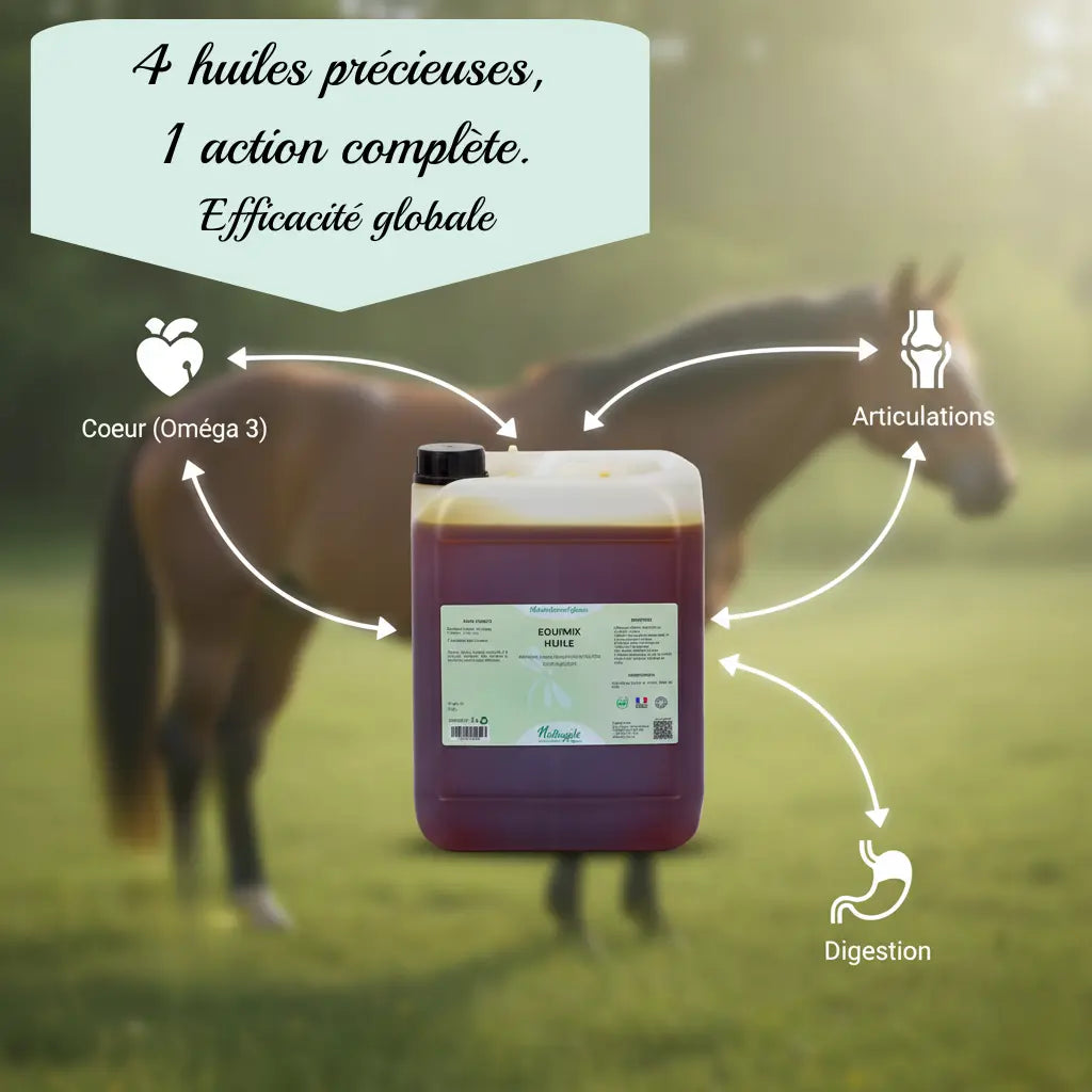 Infographie Equimix montrant les bienfaits des Oméga 3 sur le cheval.