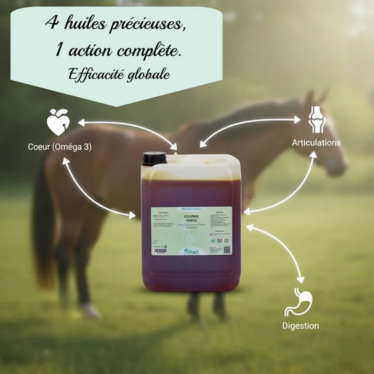 Infographie Equimix montrant les bienfaits des Oméga 3 sur le cheval.