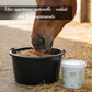 Cheval mangeant avec appétence ses granulés au Fenugrec Nutragile