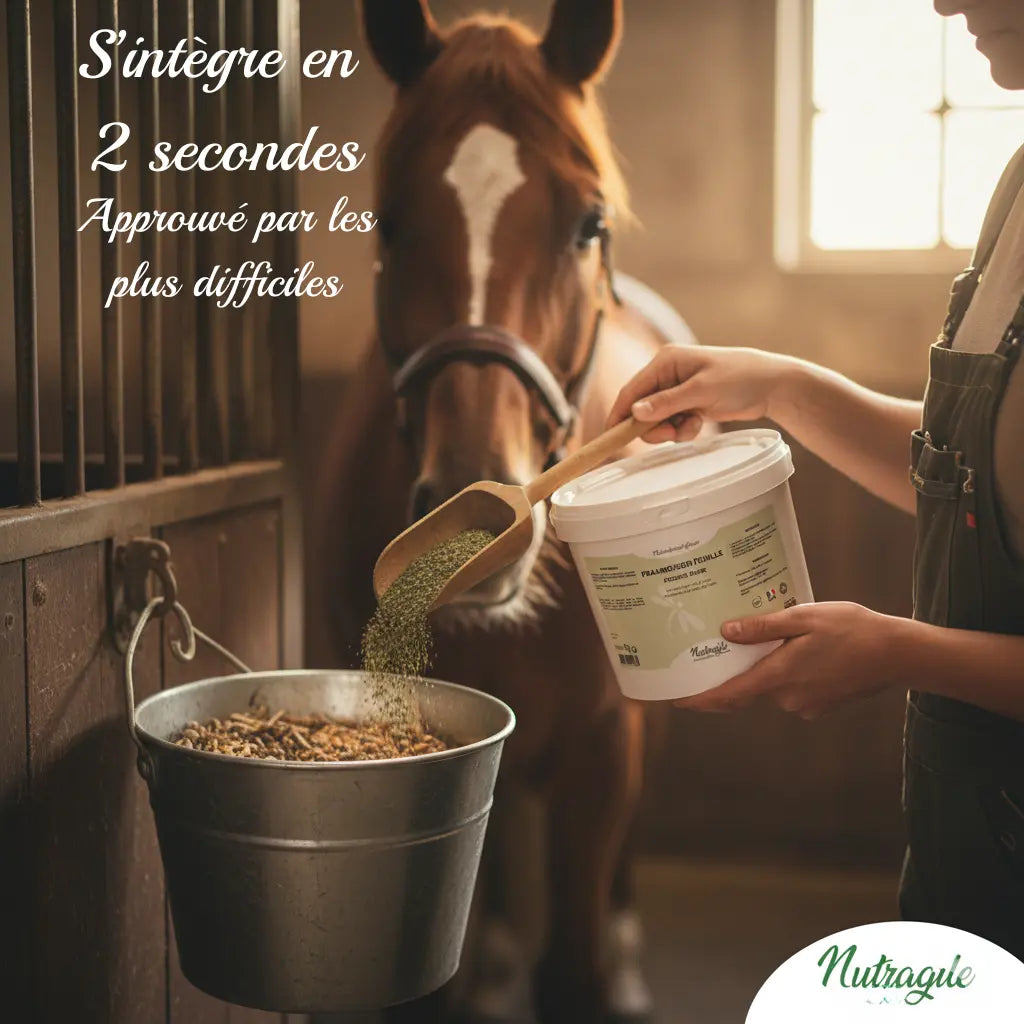 Préparation de la ration du cheval avec le framboisier Nutragile pour les chaleurs.