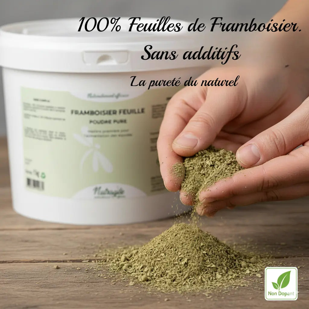 Poudre pure de feuilles de framboisier Nutragile pour chevaux, haute qualité.