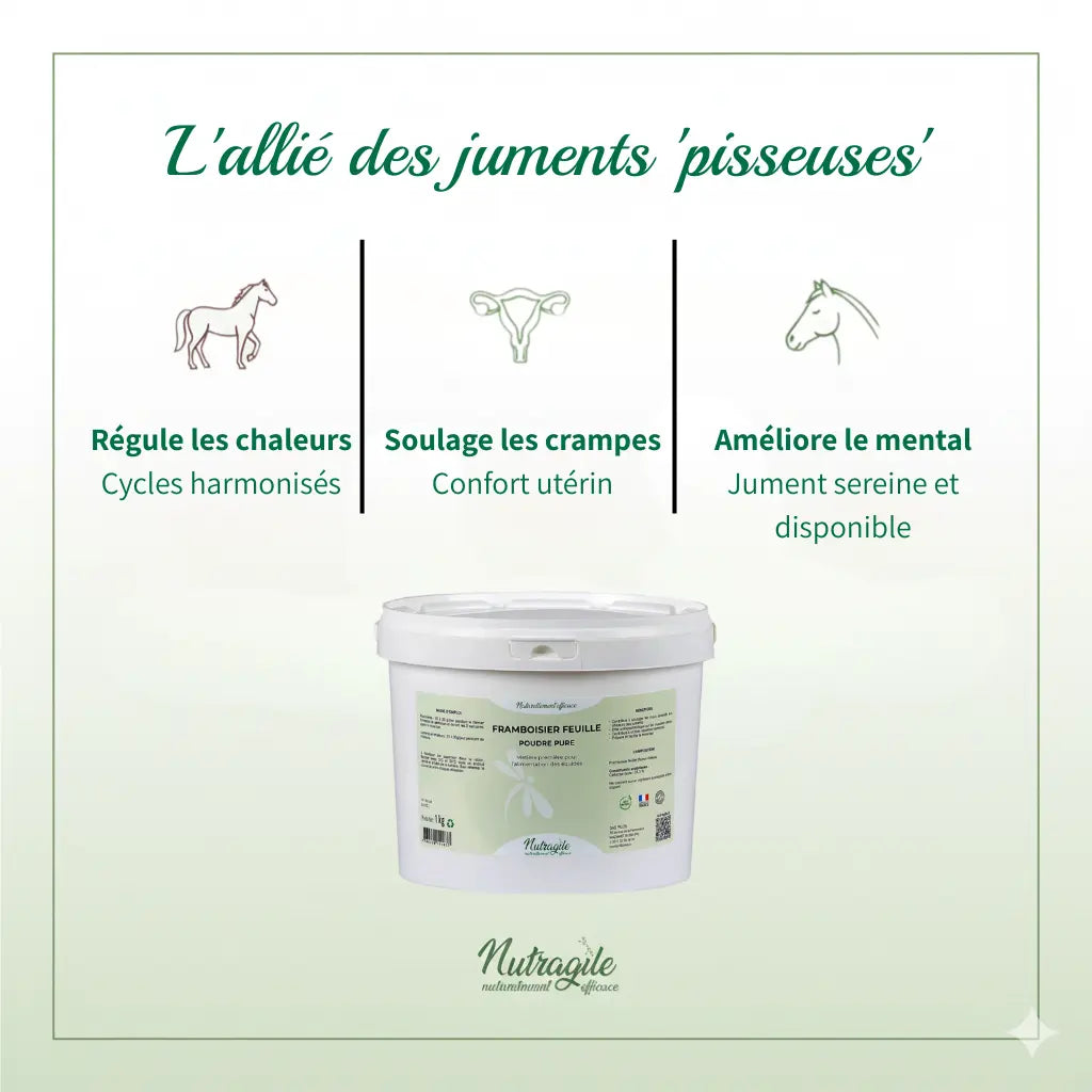 Infographie des bienfaits du framboisier sur le cycle hormonal de la jument.