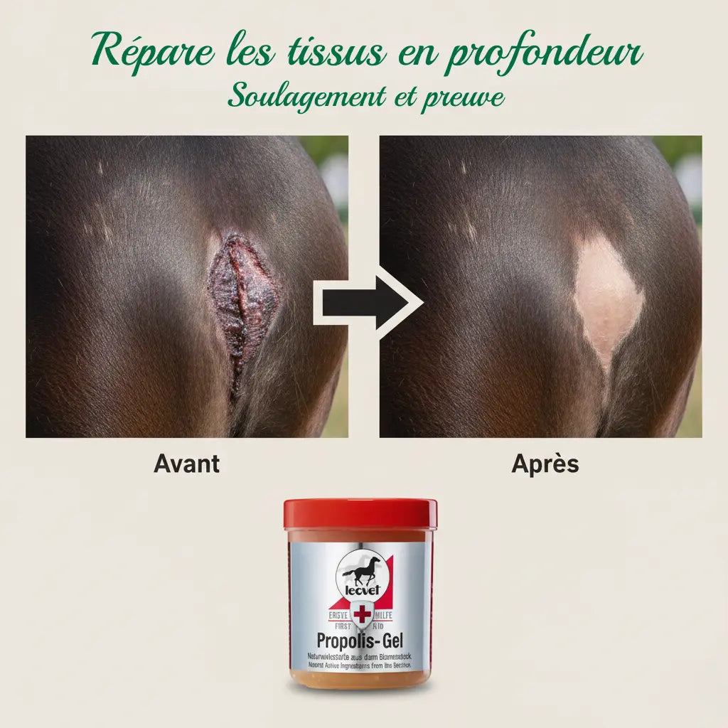Résultat avant après application gel propolis sur irritation peau cheval.