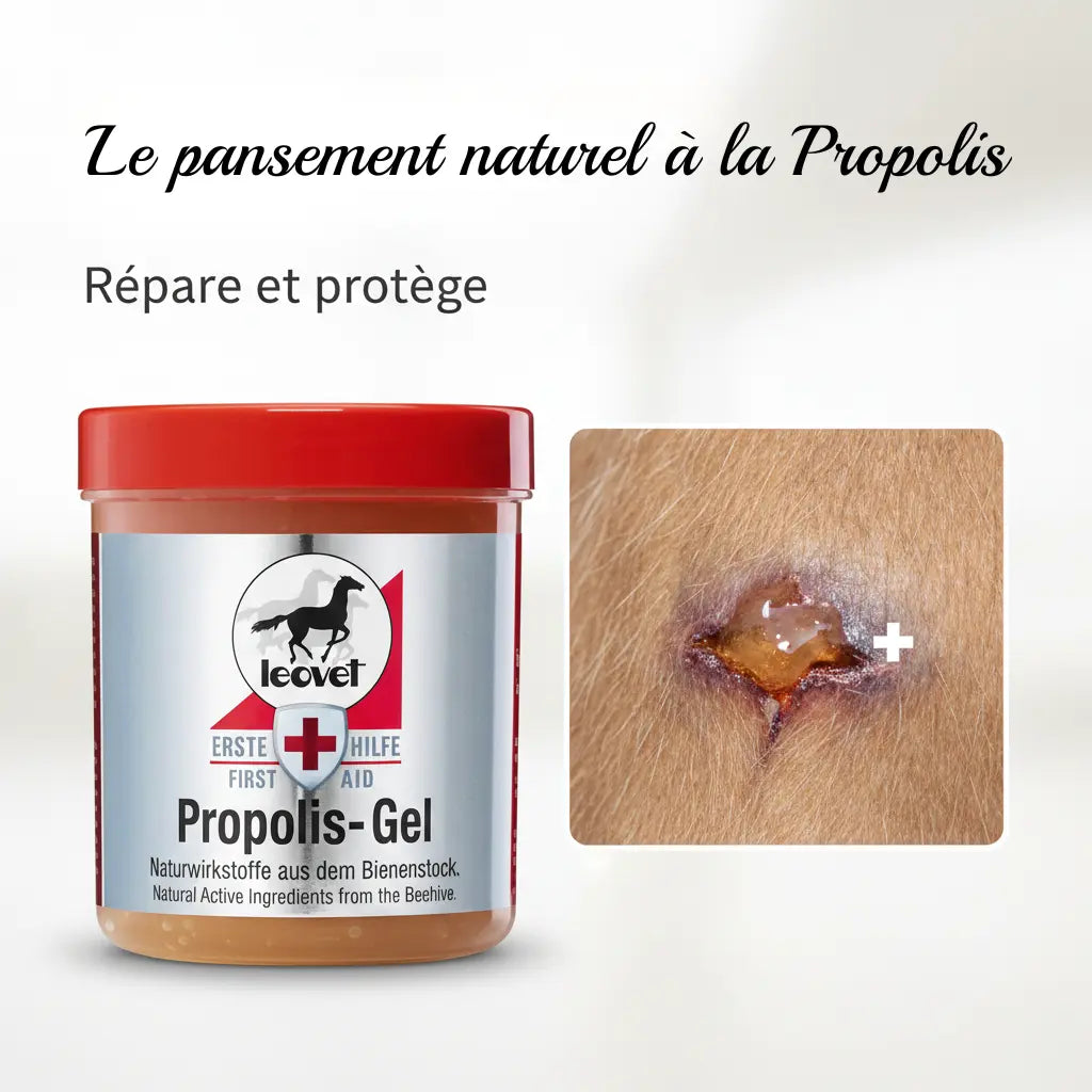 Gel Propolis Leovet pour cicatrisation rapide des plaies du cheval.