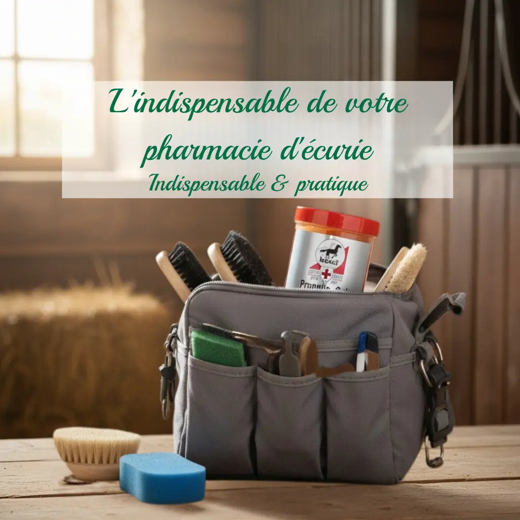 pot de gel propolis Leovet 350ml dans un kit de soin pour chevaux.