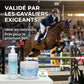 Gel de récupération musculaire cheval idéal pour les compétitions et le sport.