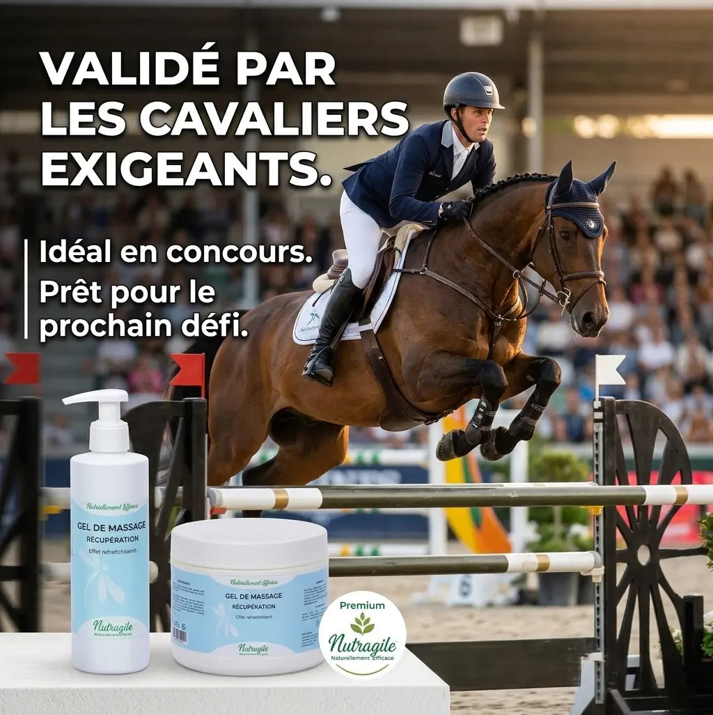 Gel de récupération musculaire cheval idéal pour les compétitions et le sport.
