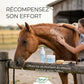 Cavalier massant son cheval avec le gel Nutragile pour un moment de bien-être.