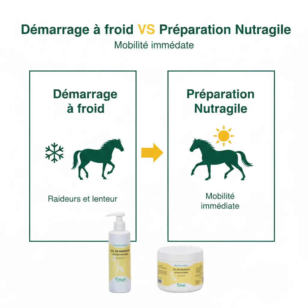 Comparatif bénéfices gel chauffant cheval pour échauffement musculaire.