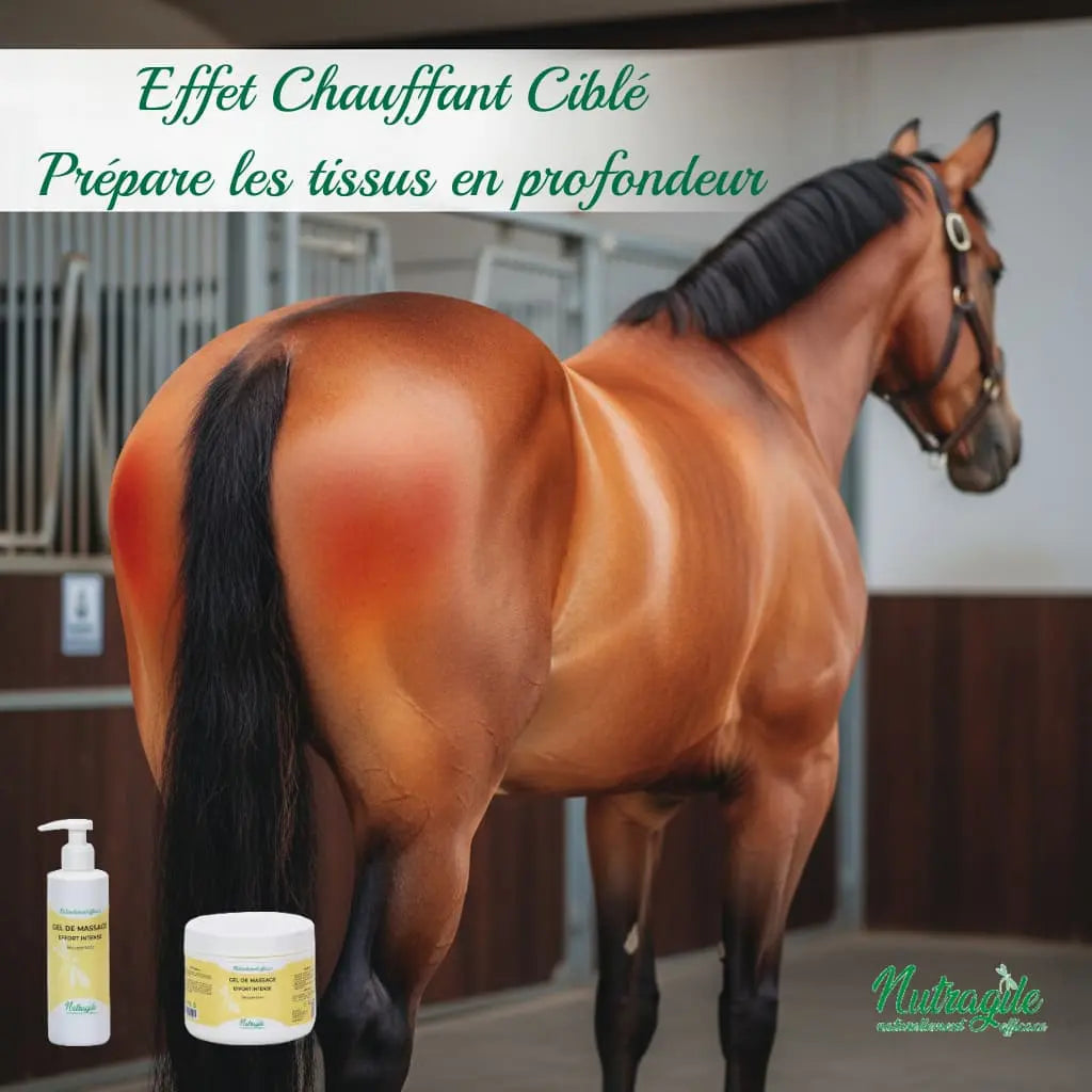 Gel chauffant Nutragile pour préparer les muscles du cheval avant l'effort.