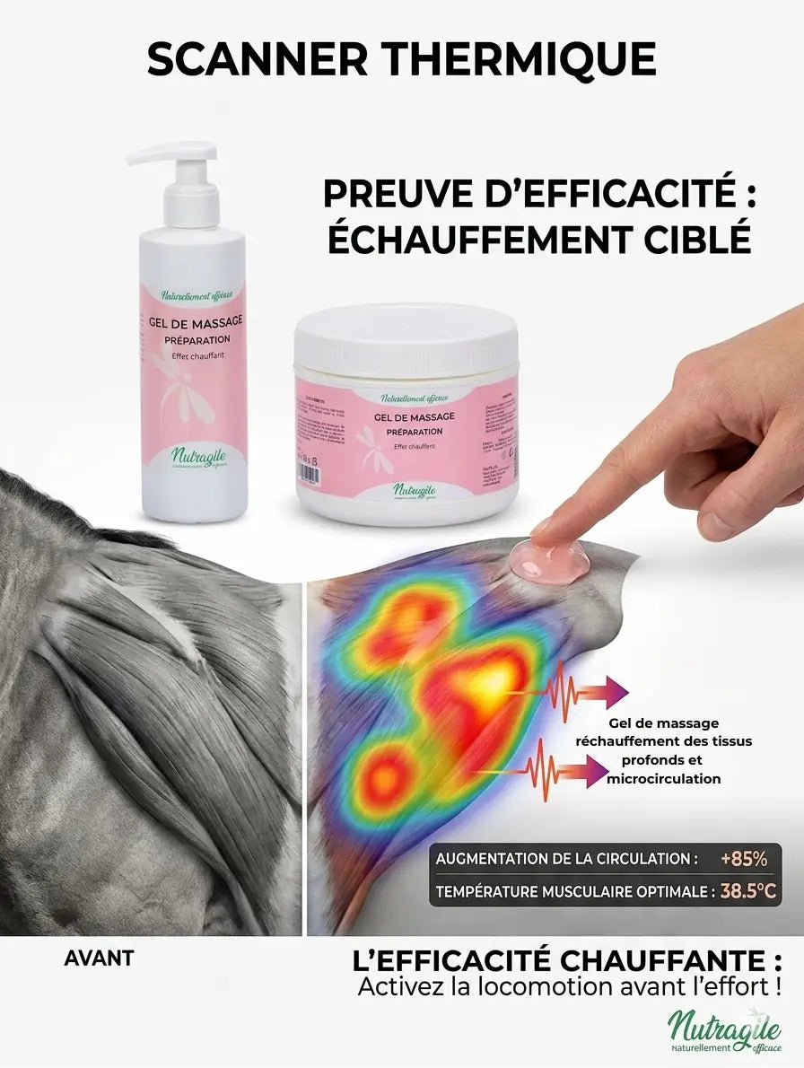 Gel Nutragile effet chauffant pour préparer les muscles du cheval avant l'effort