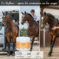 Utilisations gel Nutragile : récupération après obstacle et soins contusions cheval.