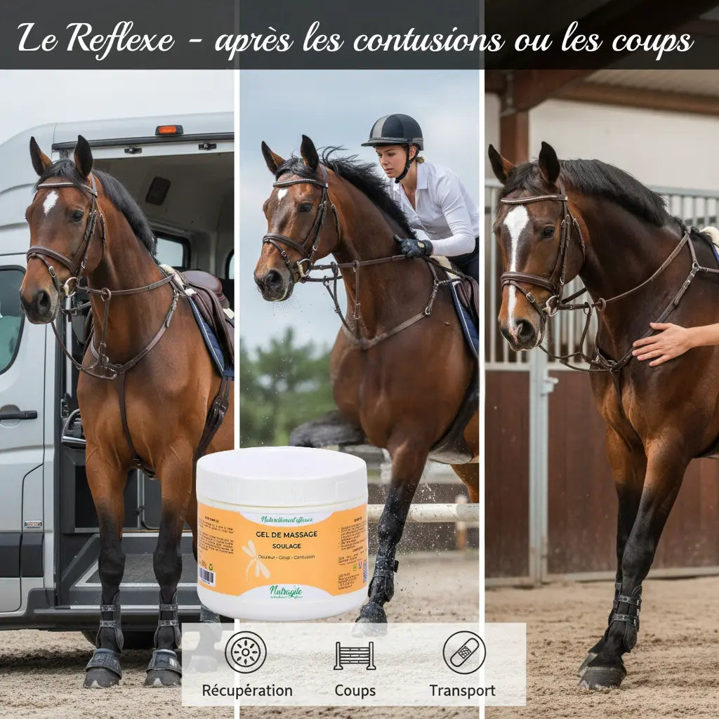 Utilisations gel Nutragile : récupération après obstacle et soins contusions cheval.